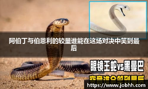 DG视讯官方网站